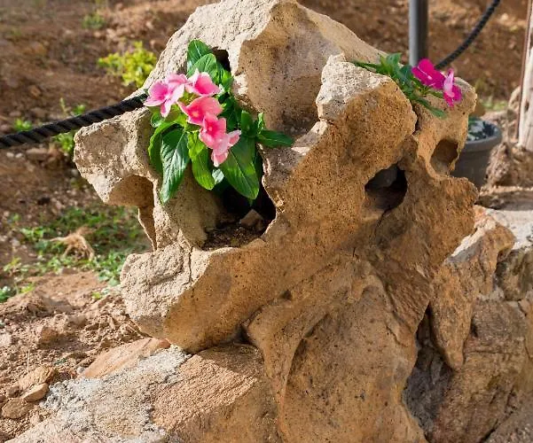 Affittacamere L ' Oasi Di Gino