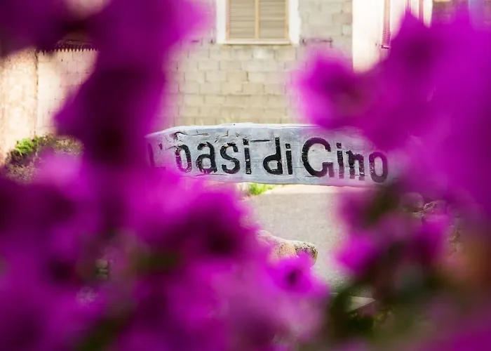 L ' Oasi Di Gino *