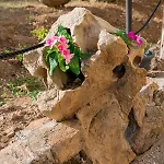 招待所 L ' Oasi Di Gino