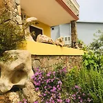 招待所 L ' Oasi Di Gino