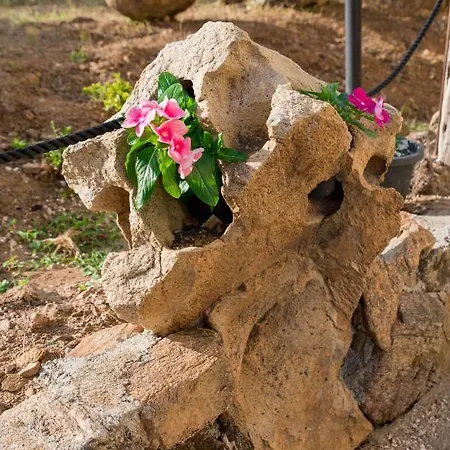 Affittacamere L ' Oasi Di Gino