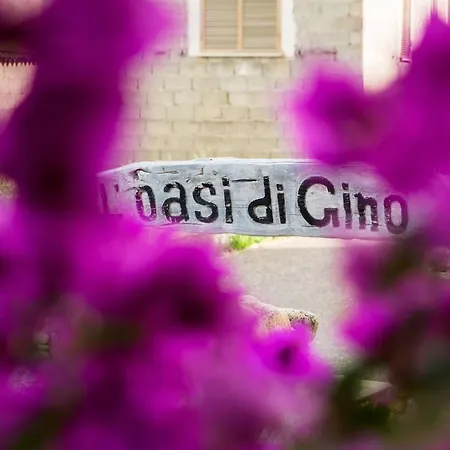 L ' Oasi Di Gino *